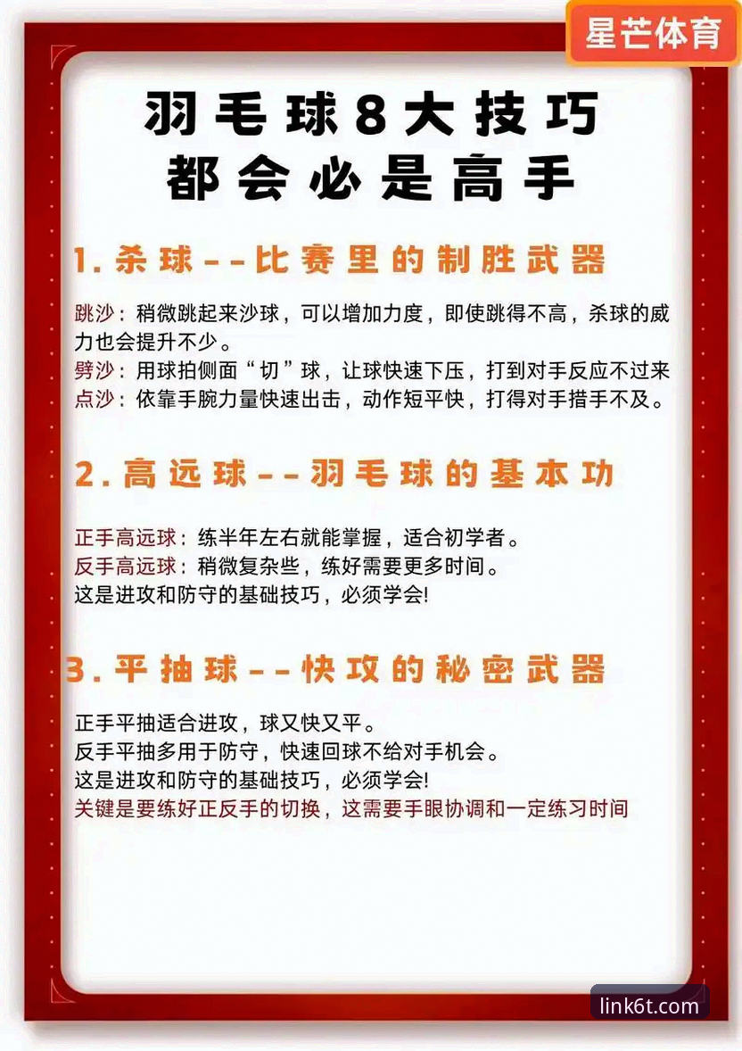 6t体育官网安全实用指南：新手必备的五大核心技巧