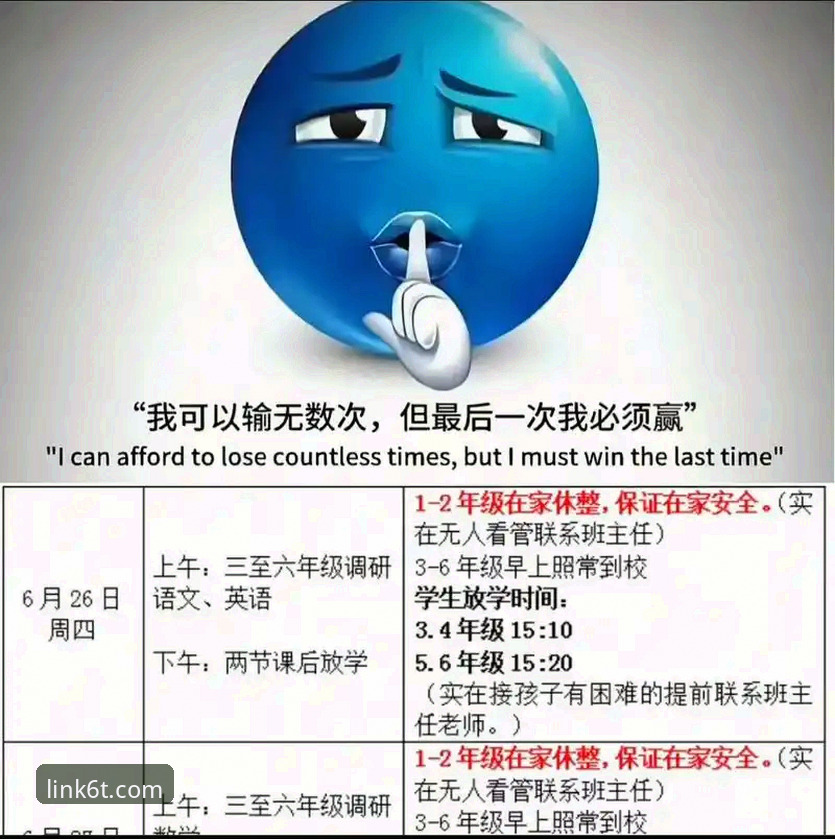 6t体育官网与同类平台全面对比：全新体验哪个好？v3.2.0版本深度评测